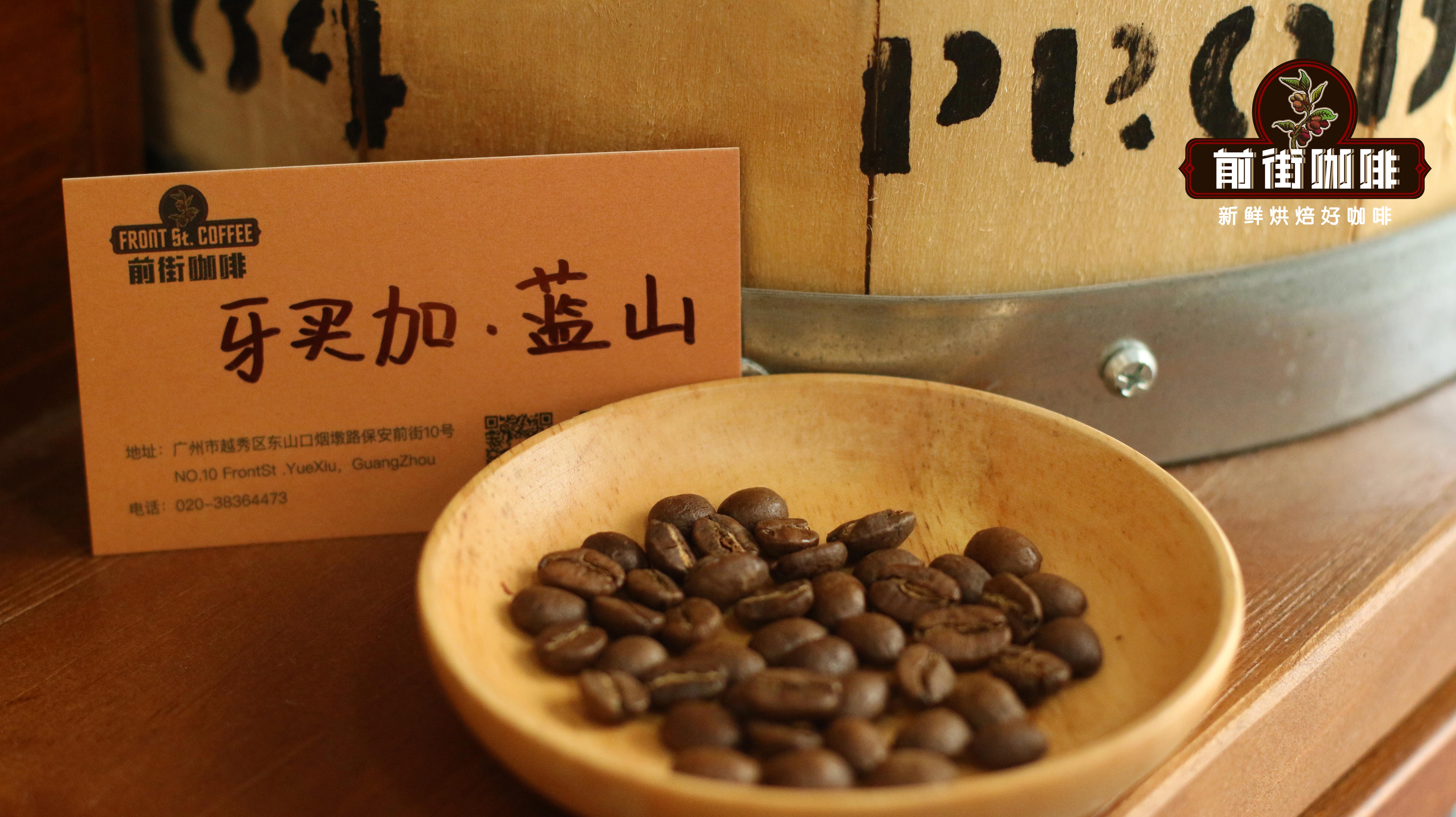 The Flavor Profile of Jamaica Blue Mountain Premium Coffee Beans and Its Historical Origins