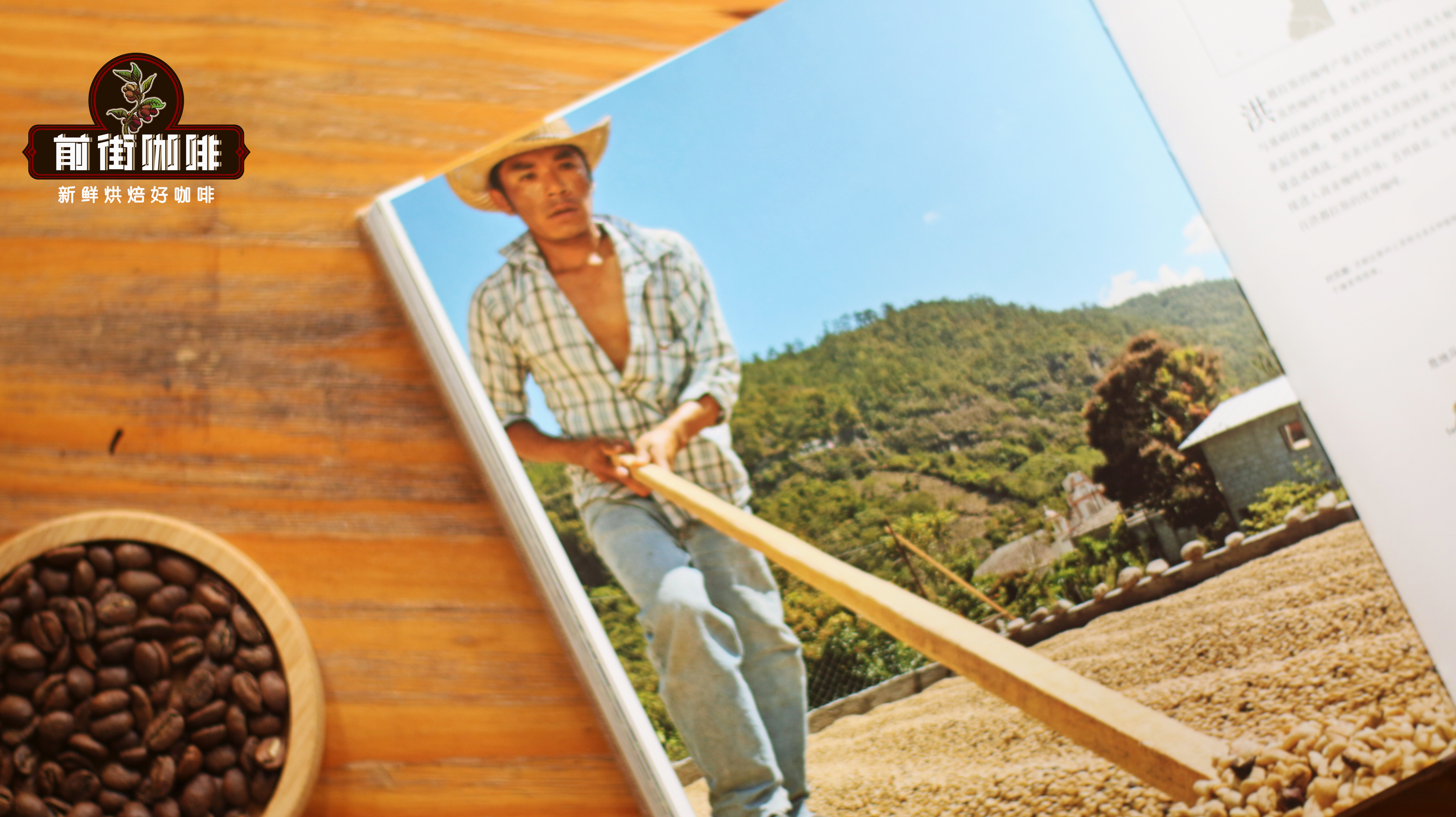 What Books Should You Read to Learn About Coffee? Which Book is Most Useful for Barista Beginners and Advanced Learners?