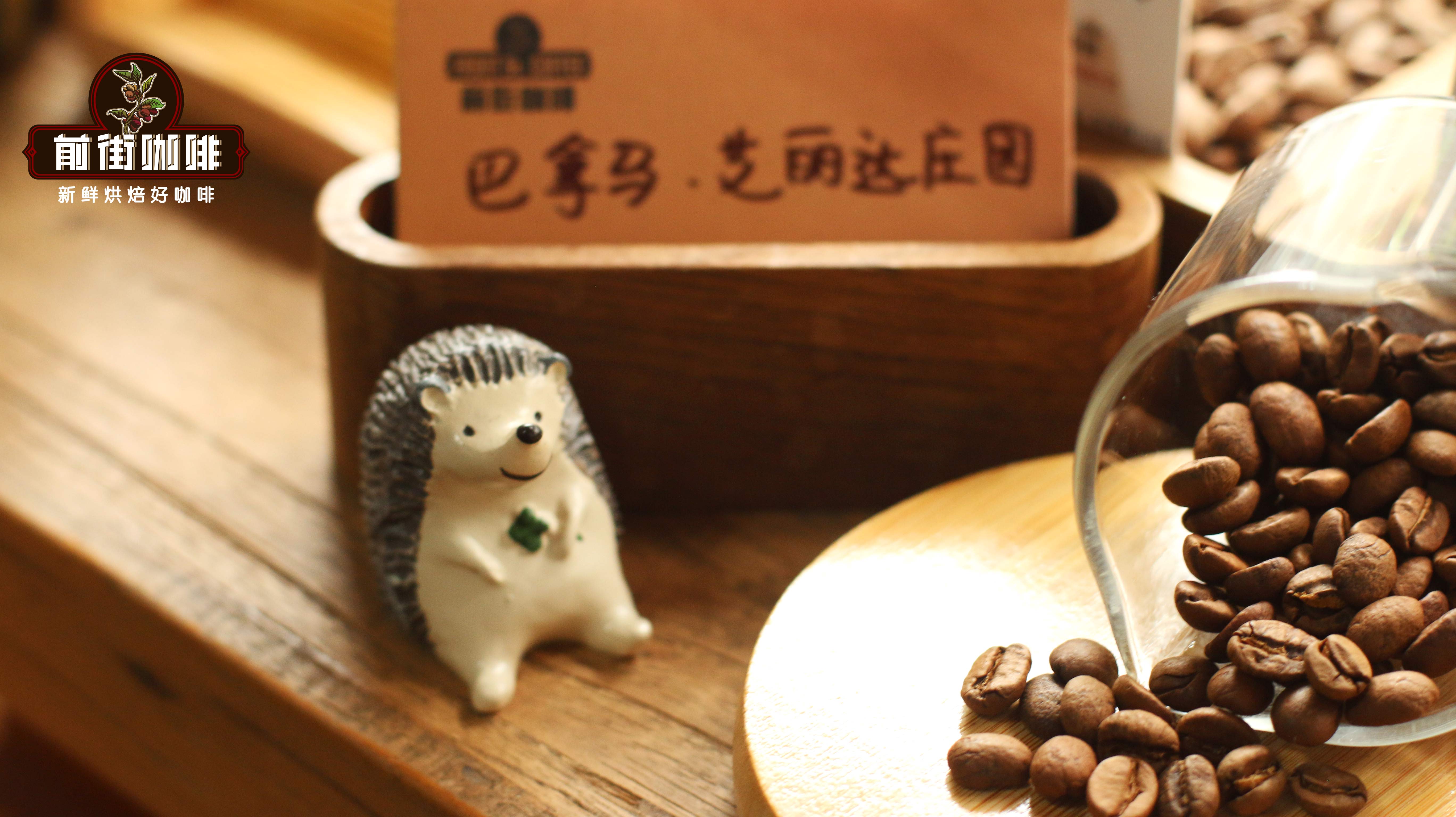 Characteristics, Flavor Description, and Processing Methods of Panama Natural Typica Coffee Beans