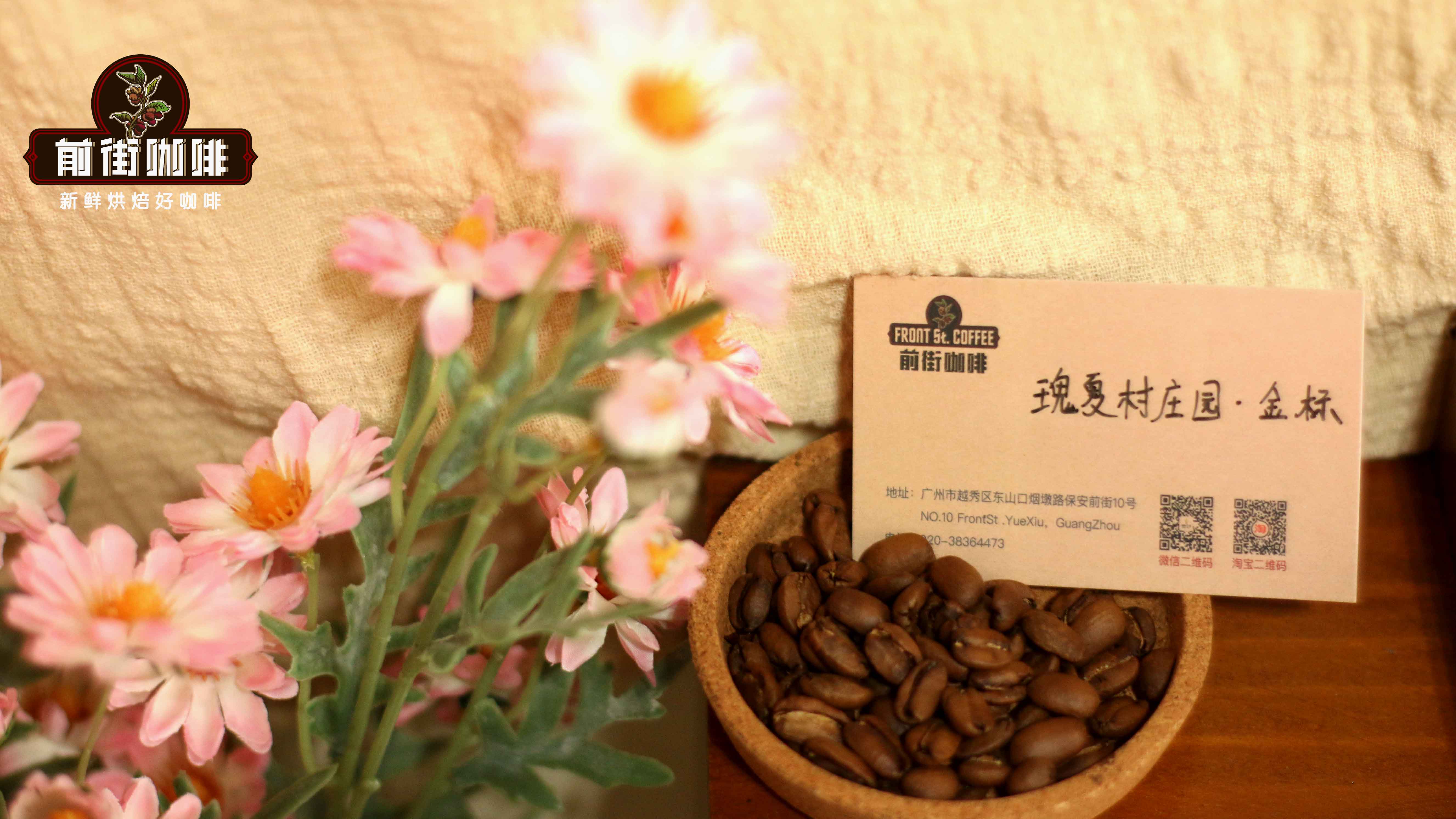 What's the Difference Between Geisha Village Geisha and Regular Ethiopian Estate Geisha?