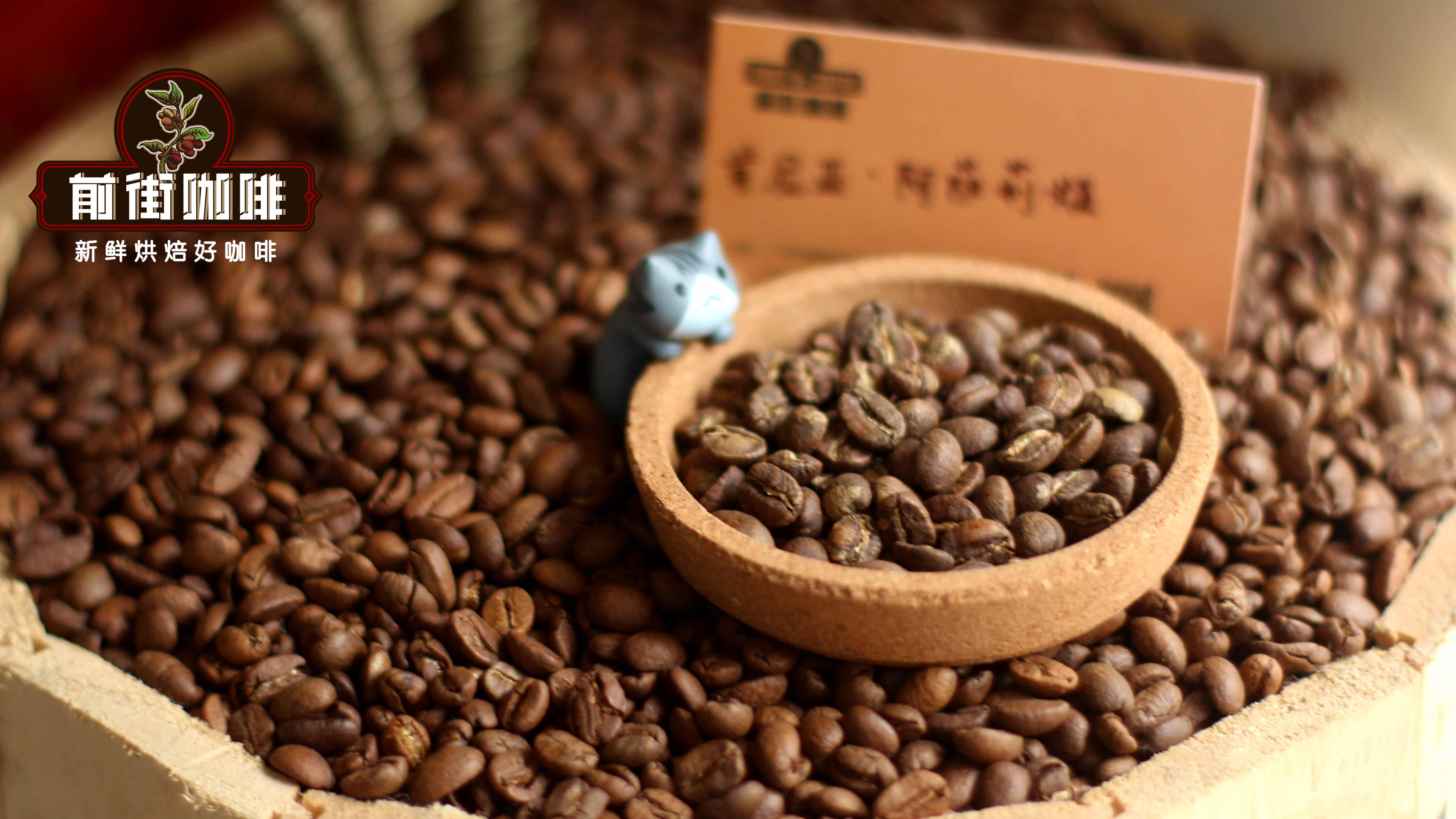 Which Kenyan Coffee Region Tastes Best? What Are the Characteristics of Kenyan Washed AA Coffee Beans?