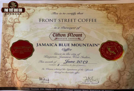 Top 10 Blue Mountain Coffee Brands Ranking Introduction: Which Brand Has the Best Blue Mountain Coffee Beans