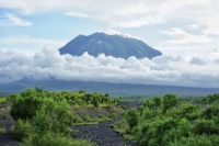 Introduction to Java Island, Indonesian Coffee Region