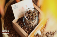 Premium Kenyan Coffee: Introduction to Kenyan AA Grade Premium Coffee Beans and Characteristics of Kenyan Black Coffee