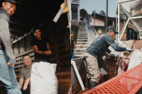 Flavor Profile Introduction: Colombia Luckin Black Cup SOE El Paraiso Anaerobic Natural Process Coffee Beans