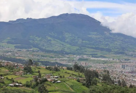 What are Colombia's famous coffee-producing regions? What are the characteristics of the Tolima region?