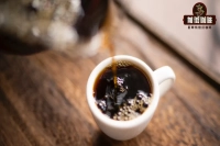 What is Beanless Coffee? What's the Difference Between Beanless Coffee and Regular Coffee? Can You Have Coffee Flavor Without Coffee Beans?