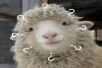 How to Distinguish Between Over-Extraction and Dark Roast Bitterness in Coffee? How to Control Pour-Over Coffee Parameters?