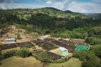 What are the characteristics of Ethiopian Sidamo coffee? Introduction to coffee from Alo village, Bensa area