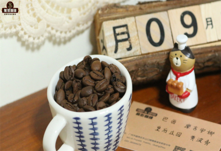 Introduction to Brazilian Coffee Bean Flavor and Profile Characteristics of Yellow Bourbon Variety from Queen Coffee Farm