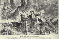 What Kind of Cat is the 