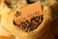 Expert Guide: What's the Difference Between Panama Geisha Coffee Beans and Guatemala Geisha Coffee Beans?