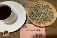 Introduction to World Premium Coffee Beans: A Detailed Guide to Colombian SUPREMO Grade Coffee Green Beans