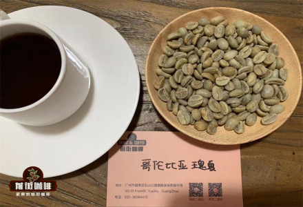 Introduction to World Premium Coffee Beans: A Detailed Guide to Colombian SUPREMO Grade Coffee Green Beans