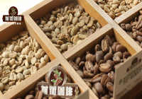 What Does 3-Time Hand Sorting of Sumatra Mandheling G1 Coffee Beans Mean? How to Drink Sumatra Coffee?