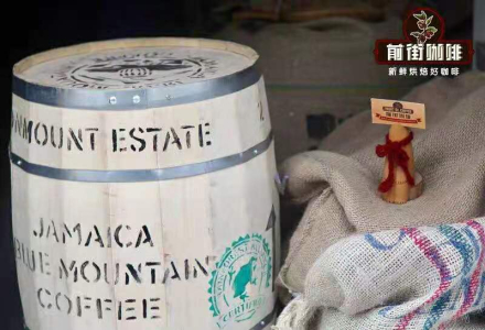 Which Brand of Blue Mountain Coffee Tastes Best? Jamaica Blue Mountain Coffee Beans Pour-over Parameters, Flavor Characteristics and Taste Description