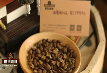 Ethiopian Gedeb Coffee Beans Characteristics: Introduction to Washed Yirgacheffe Pour-Over Flavor Profile