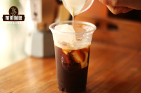 How to Make Authentic Viennese Coffee? Is Starbucks Iced Americano with Light Cream Good?