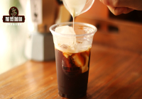 How to Make Authentic Viennese Coffee? Is Starbucks Iced Americano with Light Cream Good?