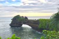 Indonesia | Introduction to Lintong Mandheling Coffee Beans - An Entry Selection from the Sumatra Region