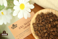 Introduction to Panama BOP Champion Sophia Estate and Roasting Recommendations for Sophia Geisha Coffee Beans