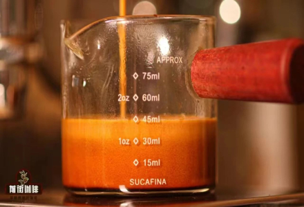 Espresso Crema: Simple in Appearance Yet Worth Deep Investigation!
