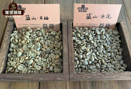 Which Brand of Blue Mountain Coffee Beans is Best? Blue Mountain Coffee Varieties Introduction, Which Country Does Blue Mountain Coffee Come From?