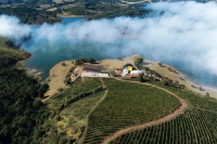 Flavor and Taste Characteristics of Brazilian Coffee: How to Brew Medium-Roasted Nutty Flavor Brazil Queen Estate Coffee Beans Using Pour-Over Method