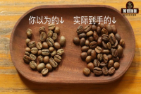 Why Do Medium-Roasted Beans Appear Dark-Roasted? How Do Roasters Determine Coffee Bean Color Values?