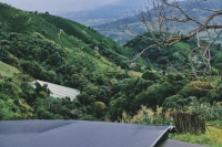 How has Colombia's coffee industry developed, and what are its renowned growing regions?