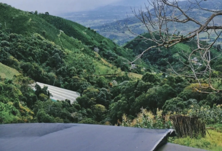 How has Colombia's coffee industry developed, and what are its renowned growing regions?