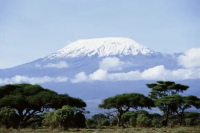 Tanzania | Introduction to Kilimanjaro Region Coffee Beans