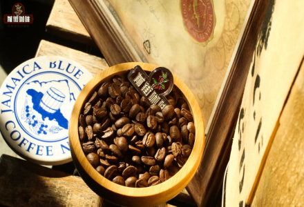 Green Mountain Coffee and Blue Mountain Coffee | Green Mountain Coffee is Not a Counterfeit of Blue Mountain Coffee