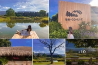 Is Opening a Coffee Shop Easy? Coffee Shop Owners Complain About Customers Causing Trouble and Running Away!