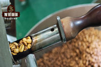 Specialty Coffee Science: Understanding Coffee Roasting Levels and How to Read Roasting Percentages