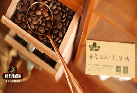 Colombian Coffee Bean Varieties, Characteristics & Flavor Profiles: How to Determine the Quality Grade of Imported Colombian Coffee Beans?