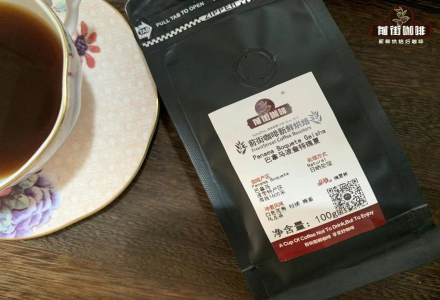 Introduction to Panama Coffee Origin Harvest Time Characteristics and Geisha Variety Flavor Description