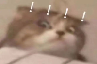 Yihe Tang Exposed for Using Expired and Moldy Ingredients! Employee Claims 