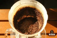 The Complete Guide to Cold Brew Coffee: Everything You Need to Know