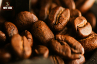 Arabica Coffee Origins: A Guide to Coffee Estates and Growing Regions