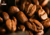 Arabica Coffee Origins: A Guide to Coffee Estates and Growing Regions