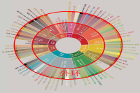 How to Understand the Latest Coffee Flavor Wheel? How to Identify Coffee Described Flavors