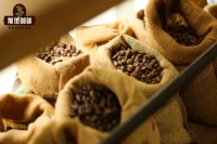 What Are the Differences in Coffee Roast Levels? What's the Difference Between Dark and Light Roast Coffee Beans? Which Roast Level Is Most Invigorating?