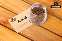 Origin Story and Flavor Characteristics of Panama Boquete 