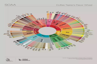 The Latest 2017 SCAA Coffee Flavor Wheel HD Image_The Origin of High-Definition Chinese and English Coffee Flavor Wheel