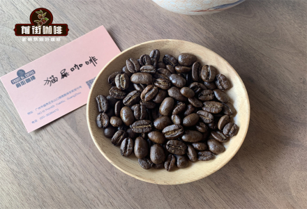 Benefits and Effects of Kopi Luwak: Differences Between Kopi Luwak Beans and Regular Coffee Beans and Why It's So Expensive