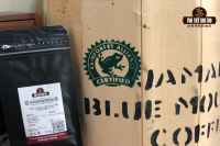 Where Are Blue Mountains Grown - Introduction to the Flavor Characteristics of Jamaica Blue Mountain No.1 Coffee