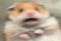 Why Should Coffee Beans Be Cured? How Long Should Espresso and Pour-Over Coffee Beans Be Cured?