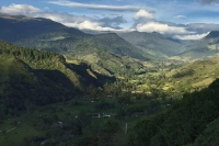 Where is Colombian Coffee Primarily Grown? What Are the Characteristics of Coffee Produced in Colombia?