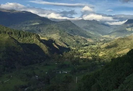 Where is Colombian Coffee Primarily Grown? What Are the Characteristics of Coffee Produced in Colombia?